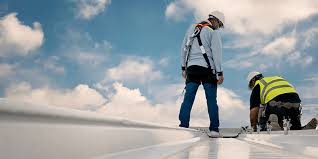 Best Roof Maintenance and Cleaning  in Broad Creek, NC